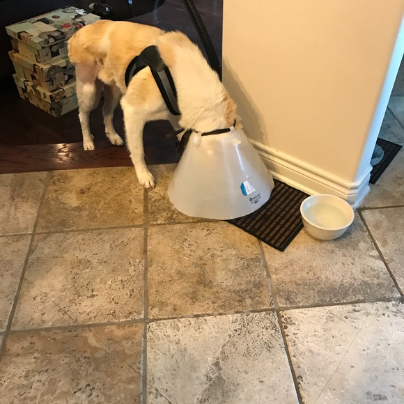 Meet your Posher, Karen - Picture 1 of 1